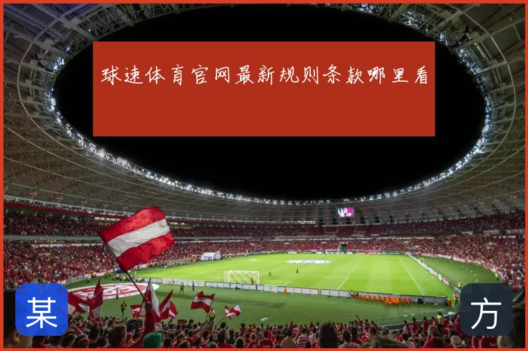 球速体育官网最新规则条款哪里看