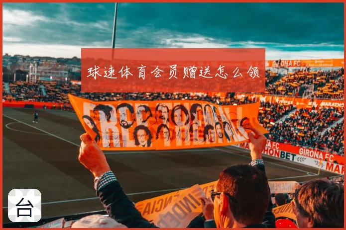 球速体育会员赠送怎么领