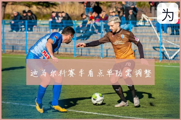 迪马尔科赛季看点单防需调整